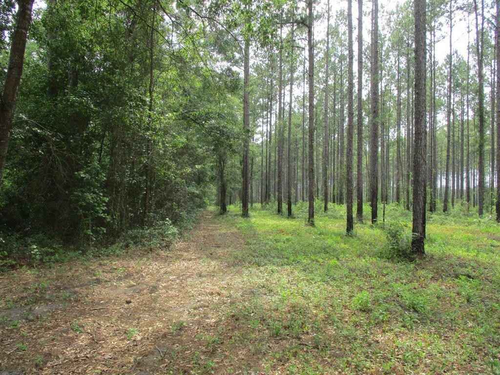 000 Cox Rd  