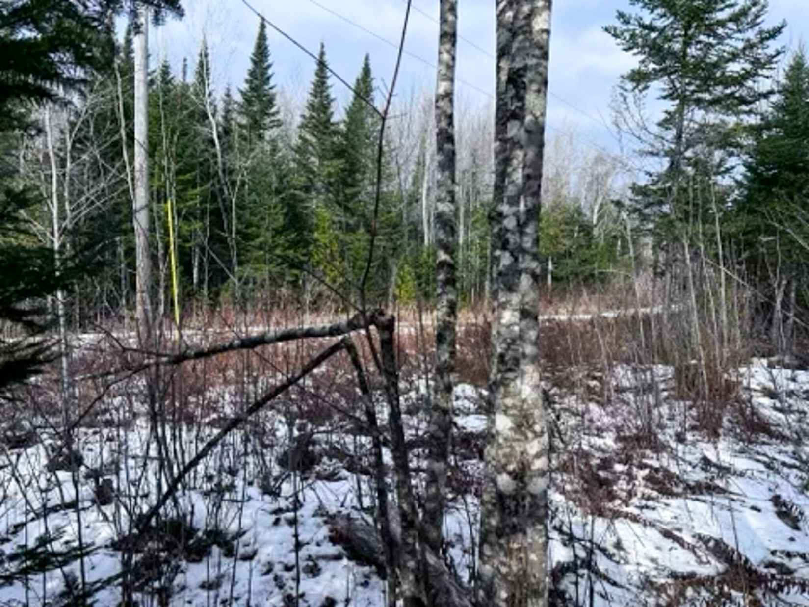 Lot 7 Woodland Rdg Rd  