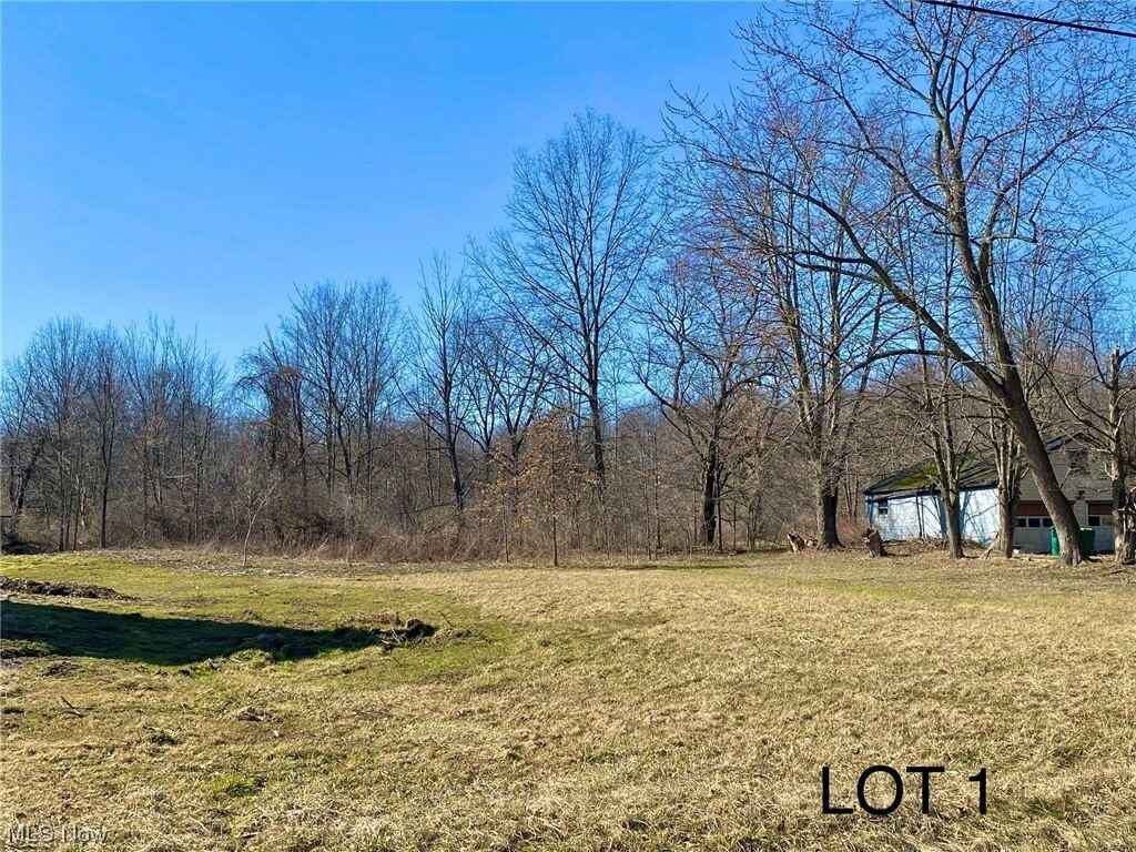 Lot 1 Chamberlin Rd  