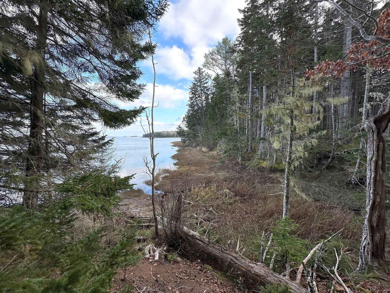 102 Naskeag Pt Rd  