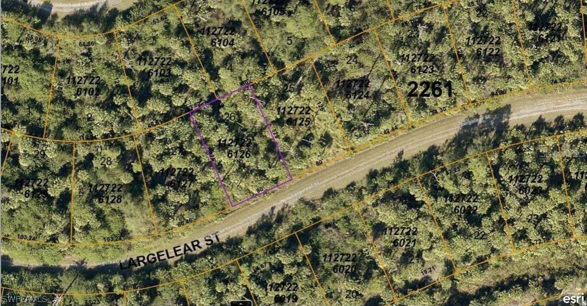 1127226126 Largeleaf St  