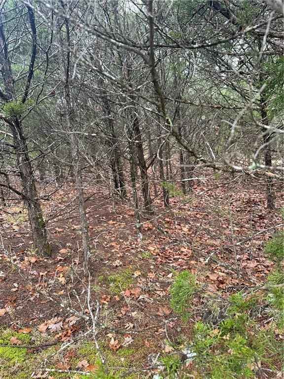 Lot 5 Beaver DR  