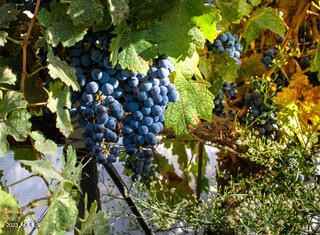 4053 E State Route 260 --  