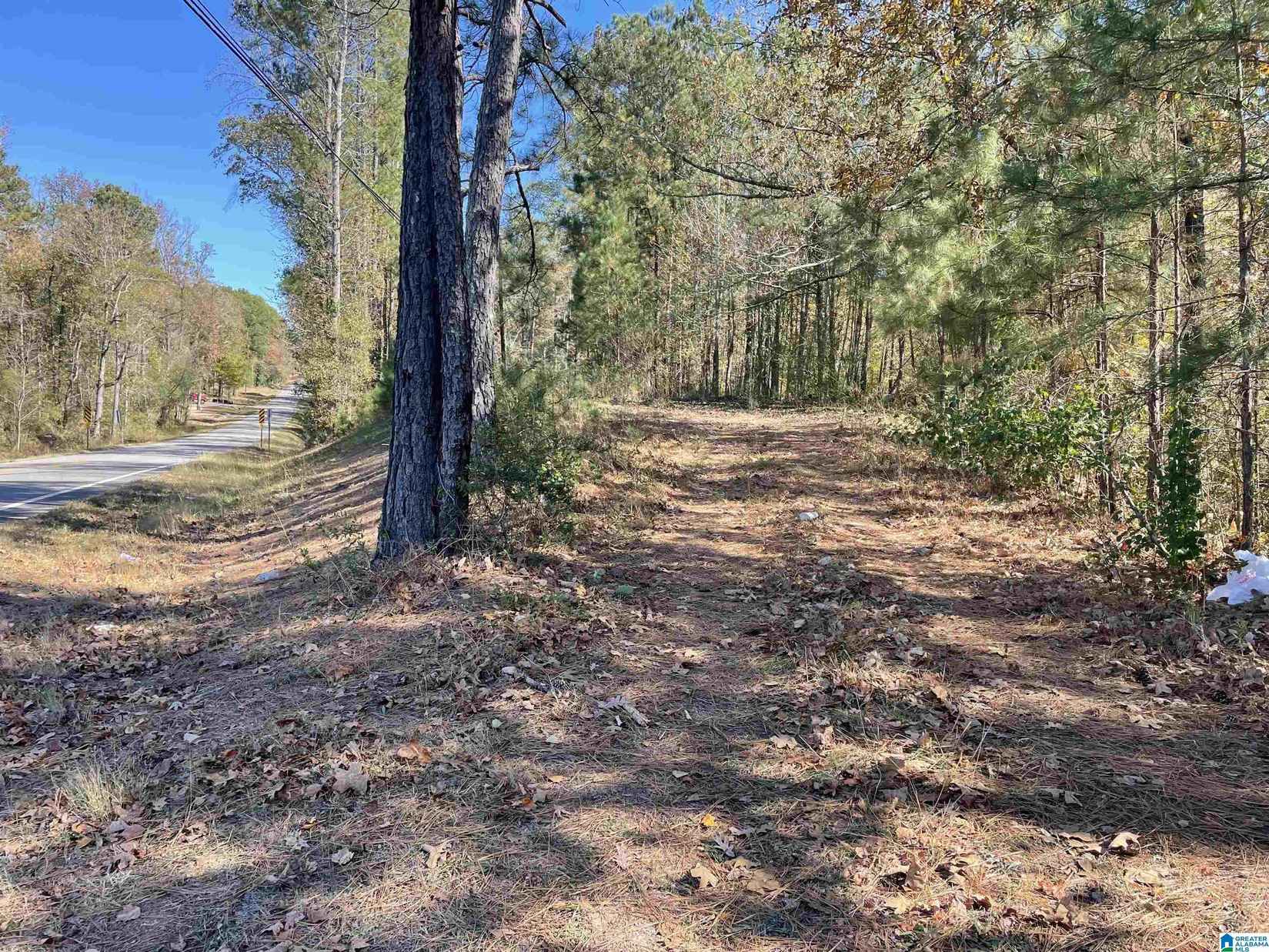 8585 Old Hwy 280  
