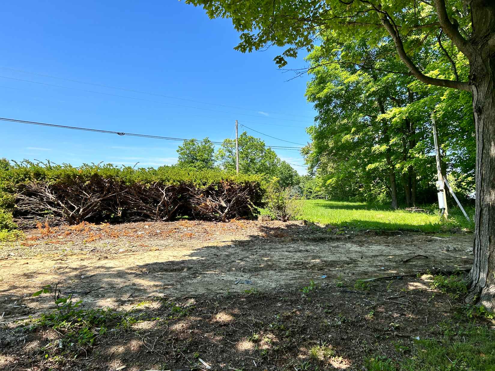 7988 Beavers Rdg Rd  