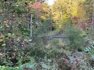 11 Wilber Hl Rd  