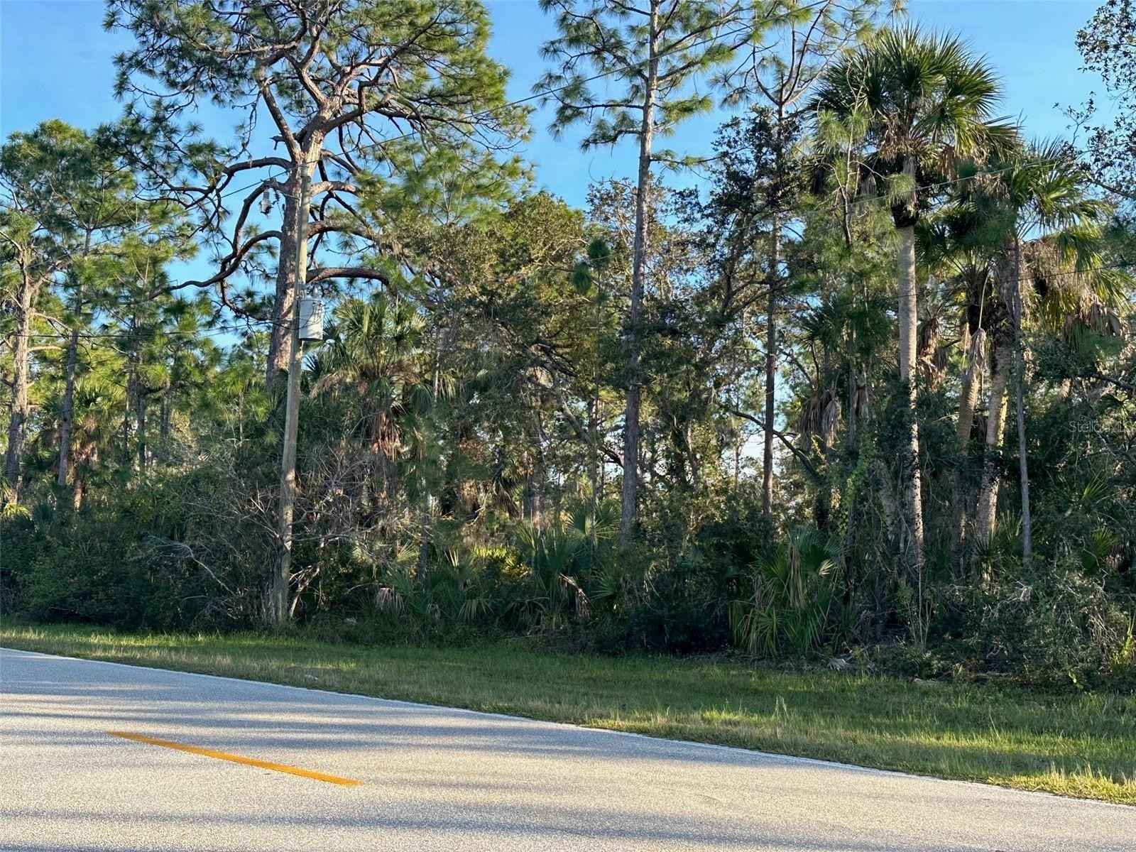 14023 CHAMBERLAIN Blvd  