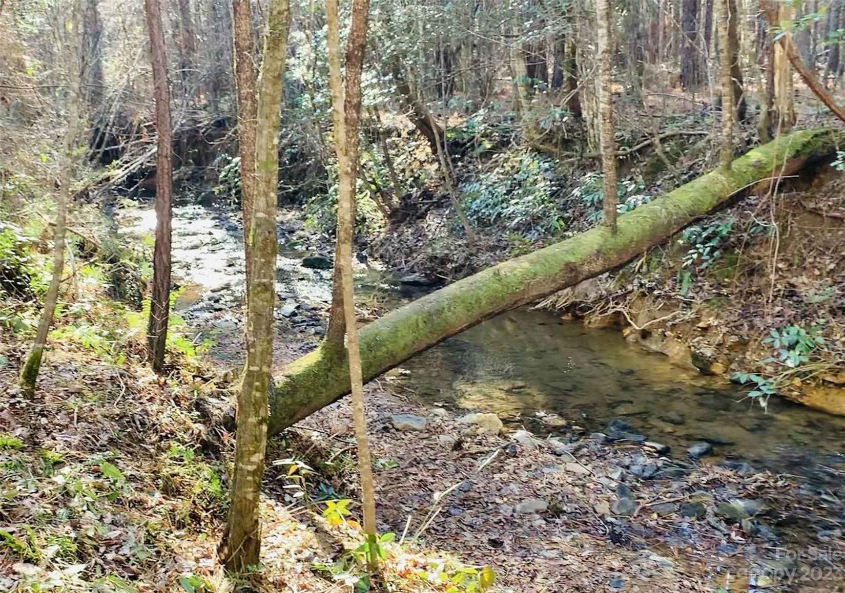 2 8 Acres Lot Cb 37 Low Country Rd  