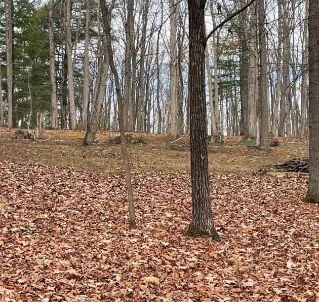 322 DEER TRL  