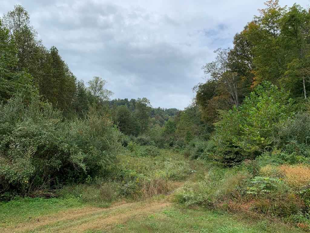 00 Left Fork Sam Hale Br  