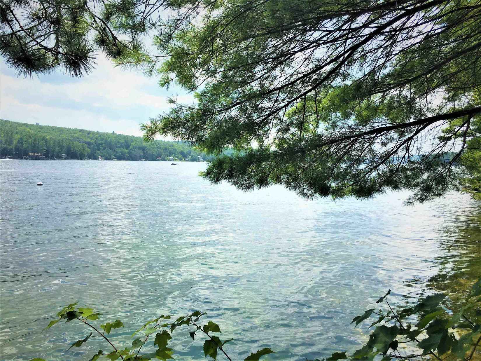 Map102 Lot14 15 Pine Pt Rd  