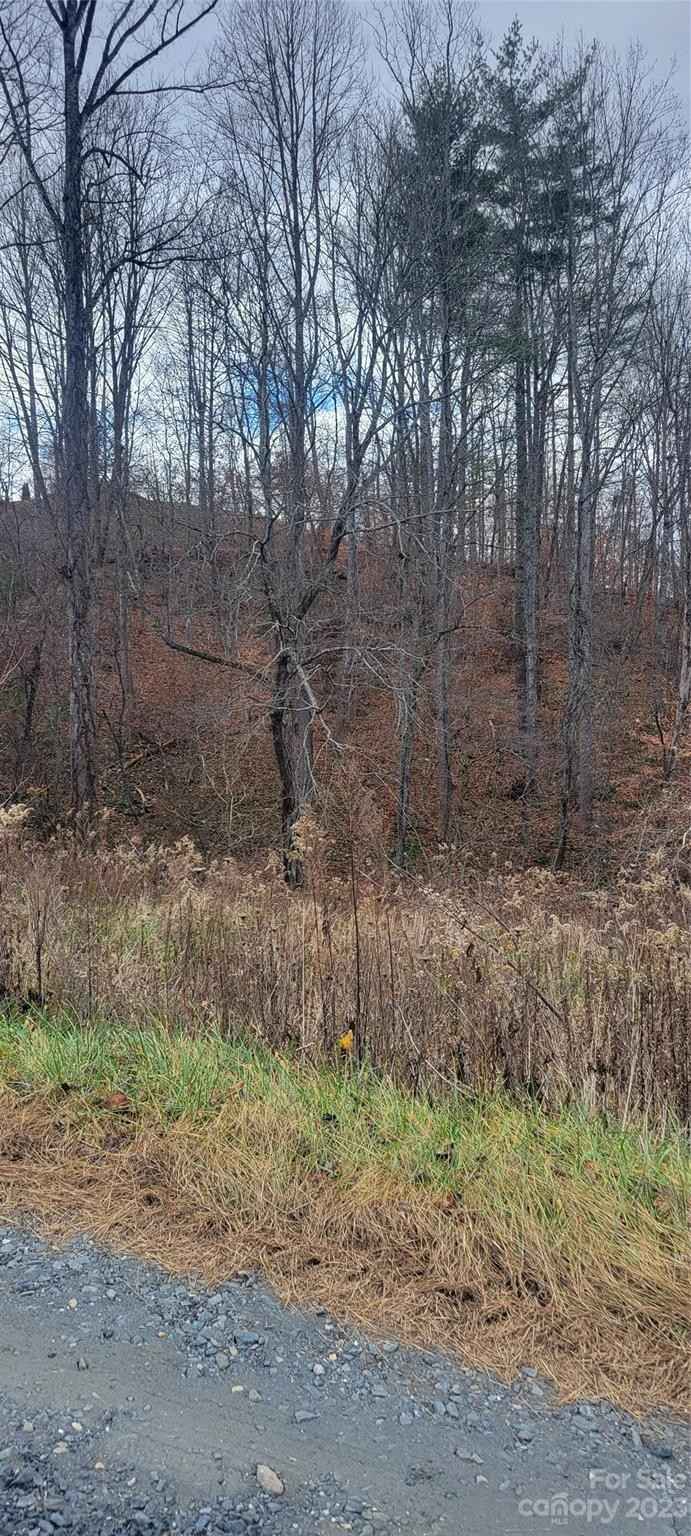 00 Cleve Silver Rd  