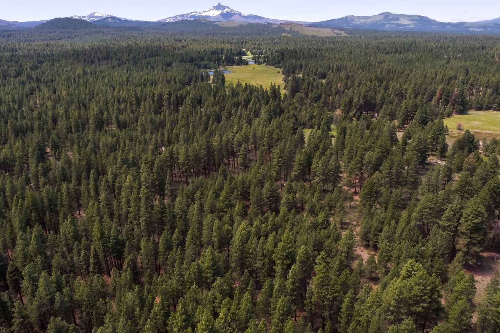 70350 Brooks Scanlon Logging Rd  
