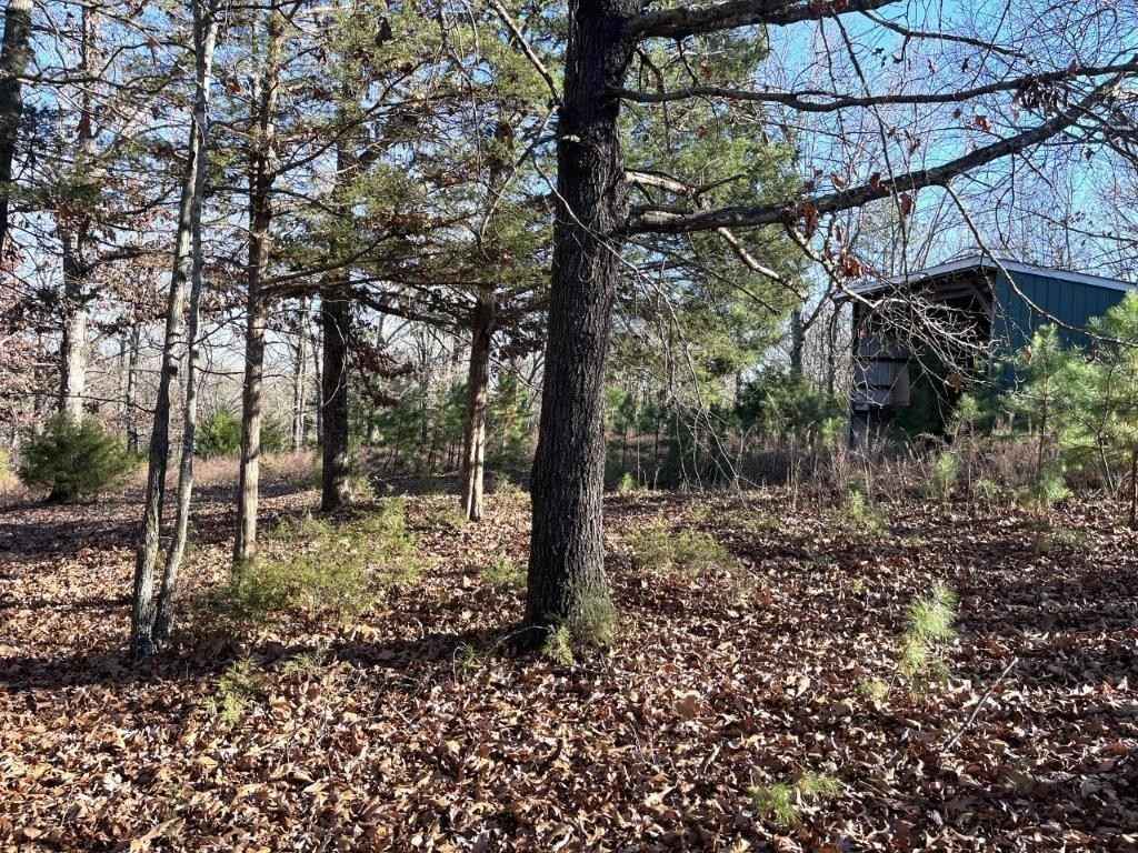 3 23AC Tanglewood RD  
