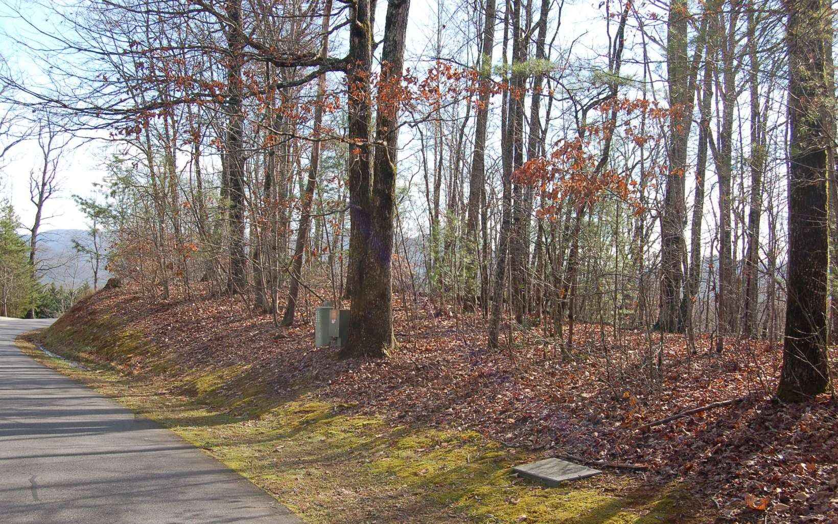 28a Mountain Harbour Dr  