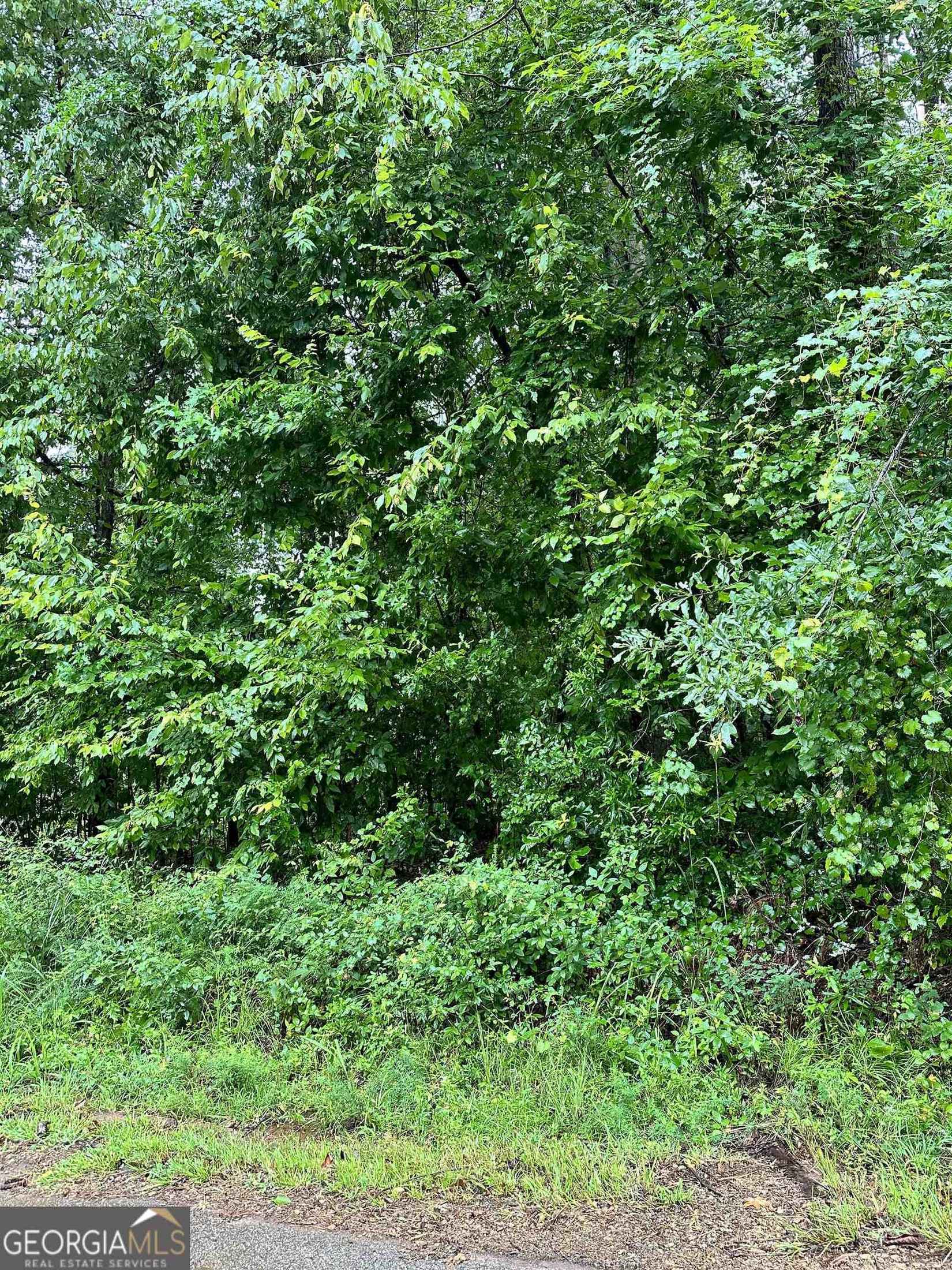 LOT Unit 176 Southern Shrs Rd  