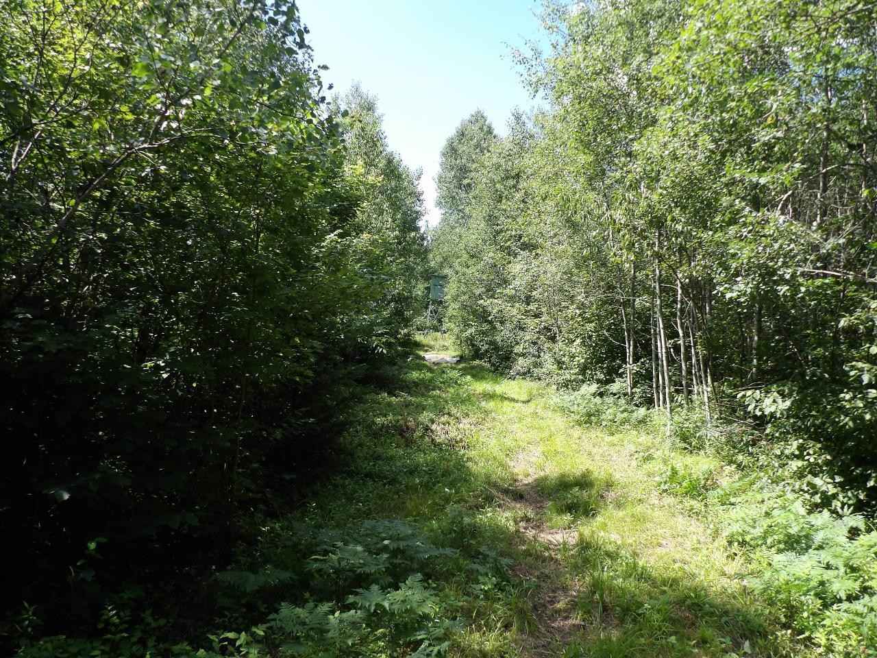 N6435 COUNTY LINE RD  