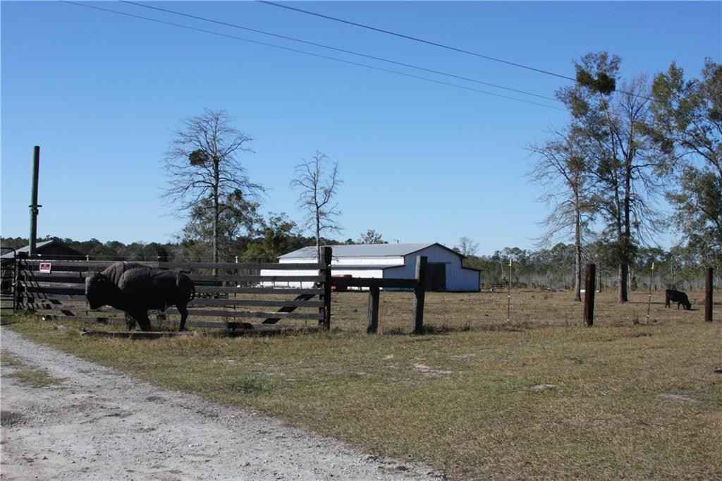 11495 N US HWY 17 Hwy N  