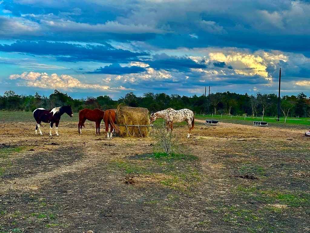 428 County Road County Rd 212  