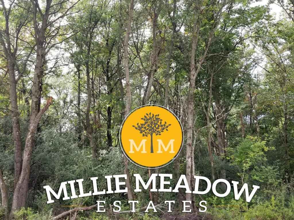 L4b2 Millie Rd SW  