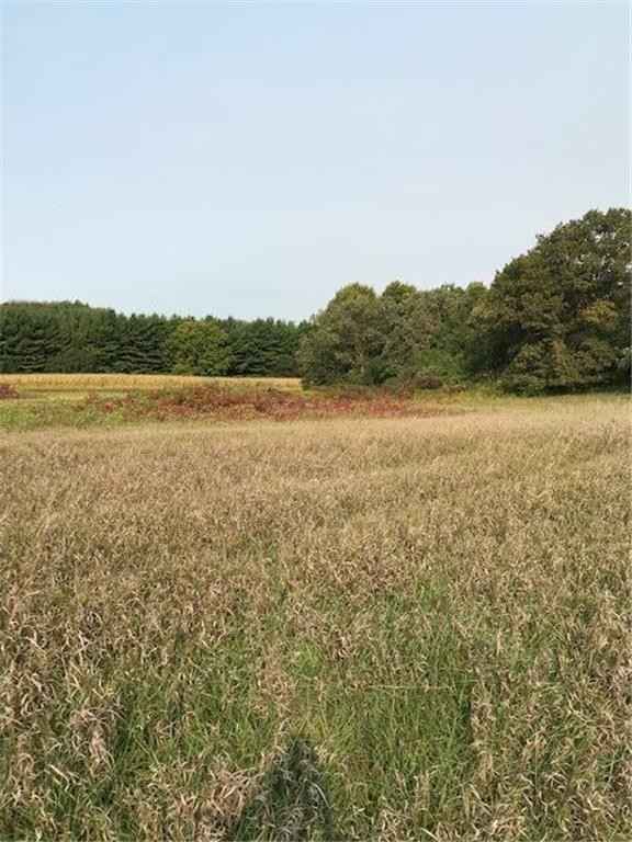 Pine Bluff (site13) Rd NW  