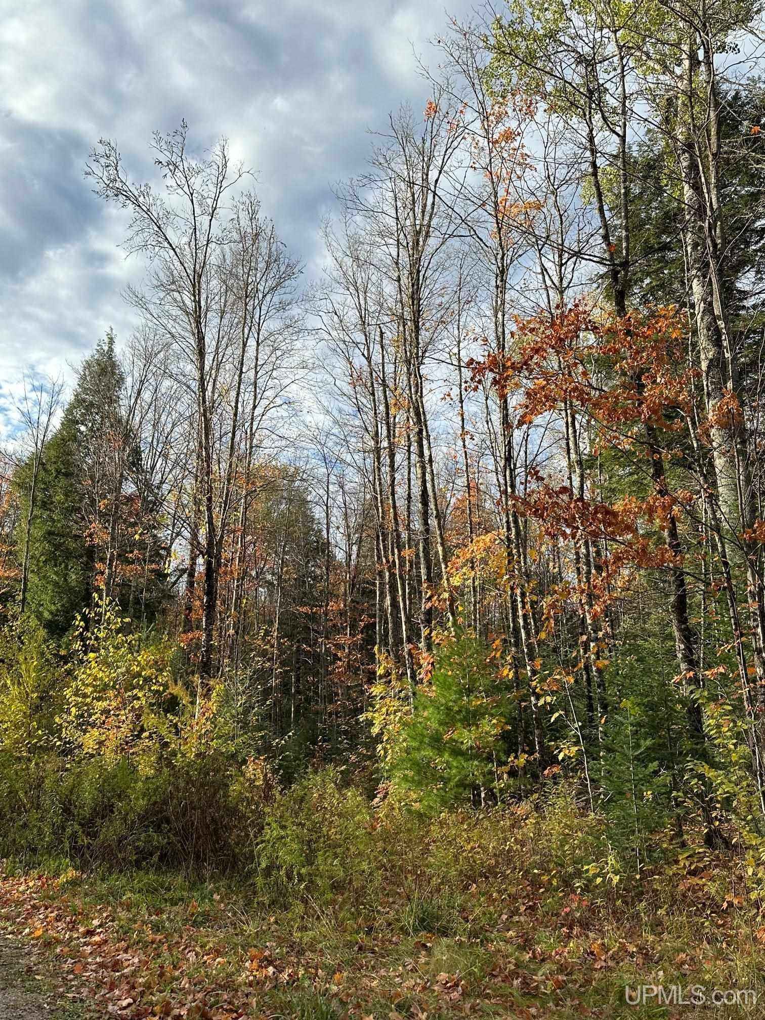 Lot 7 W Tamarack Lk  