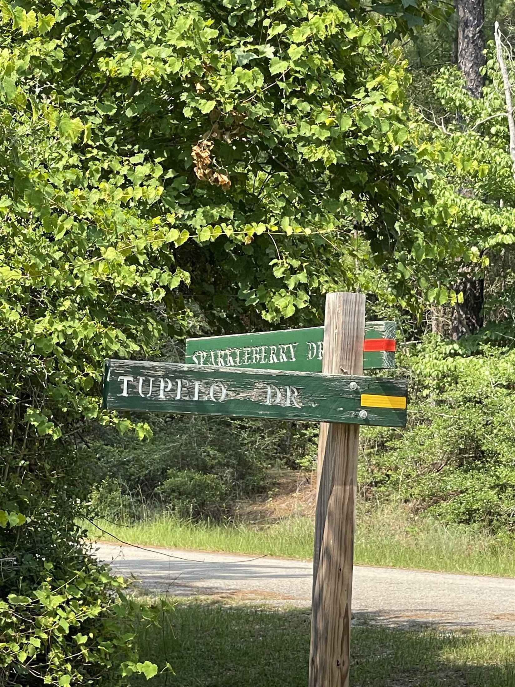 198 Tupelo Dr  