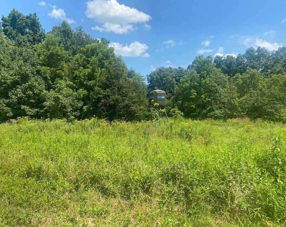 Tract 11 Hamilton-Lee Rd  