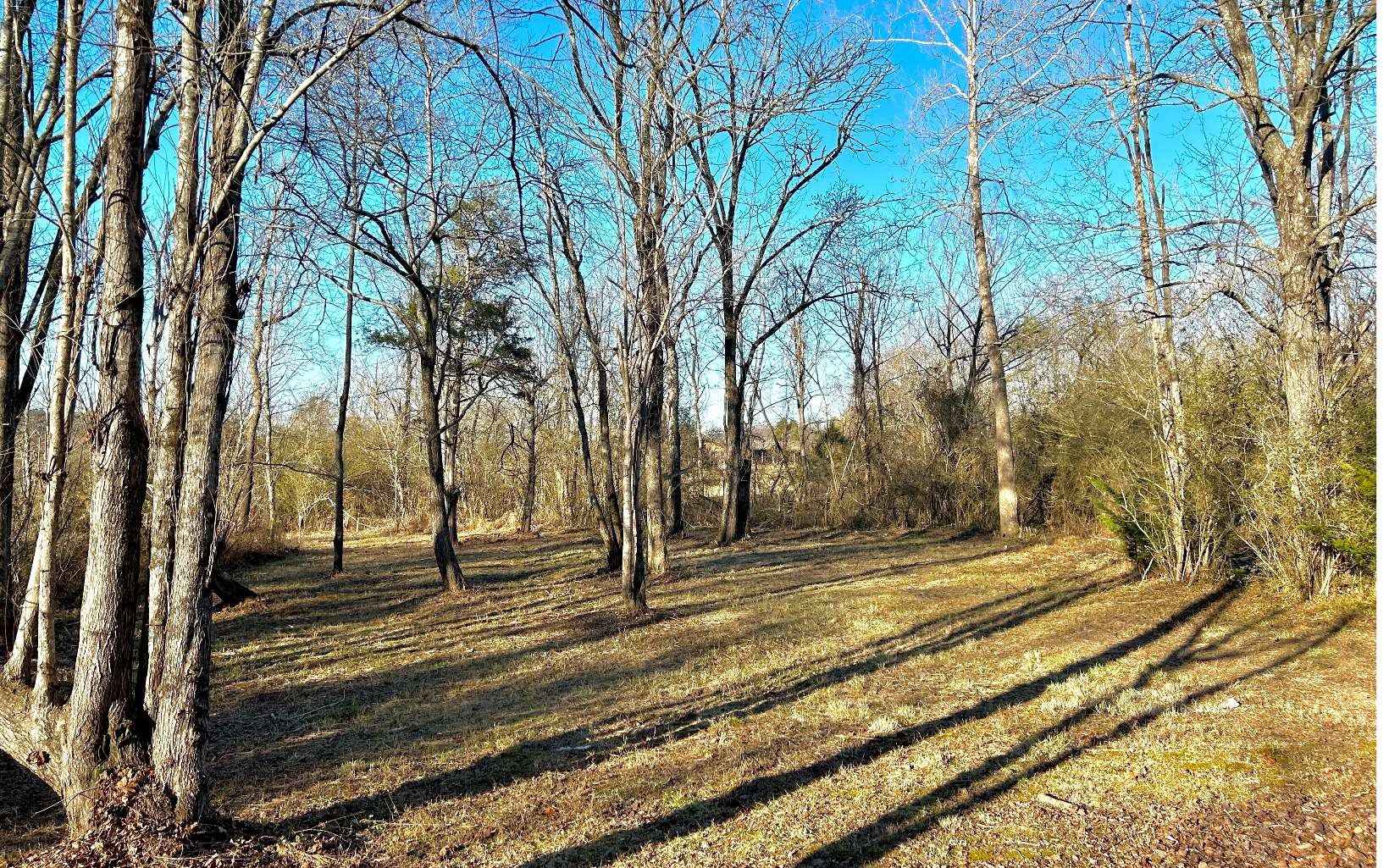 Lot 11 Willow Spgs Rd  