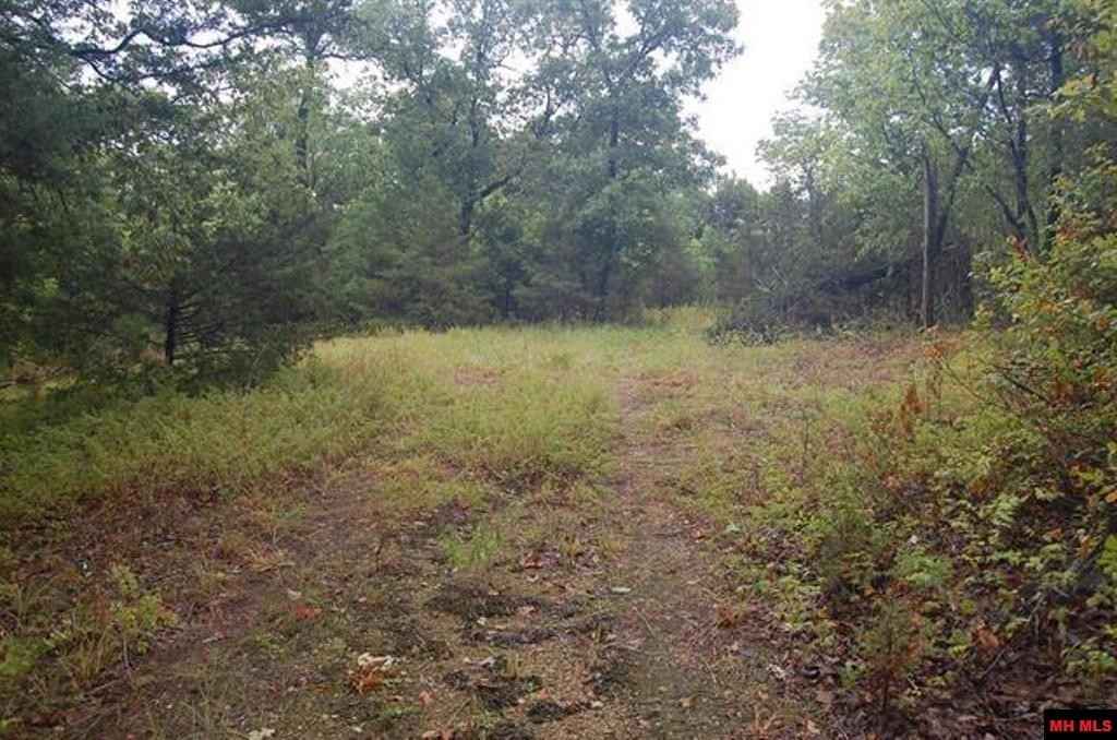 001-07819-002 MOSSY OAK  