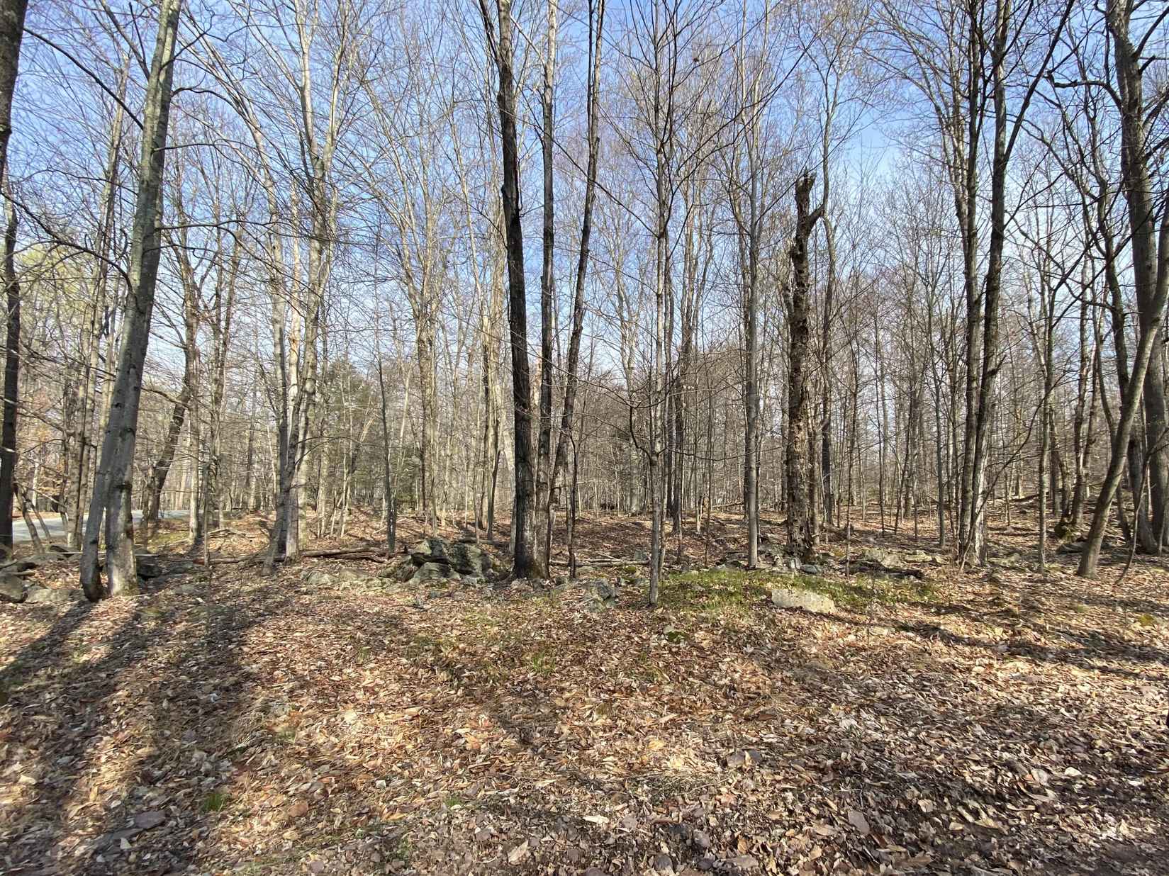 Lot 228 Fawnwood Dr  