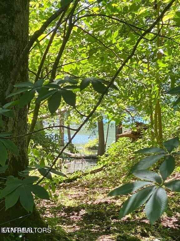 Lot 8 Chapman Rd  
