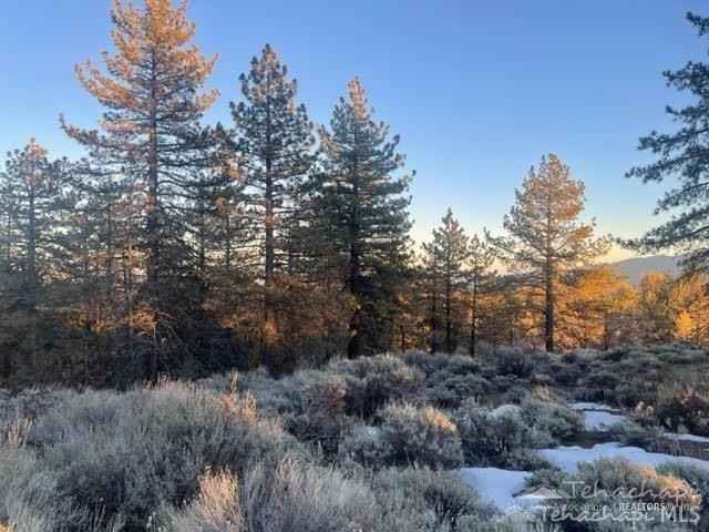 25680 Wilderness Way  