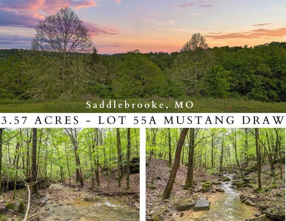 55a Mustang Draw  