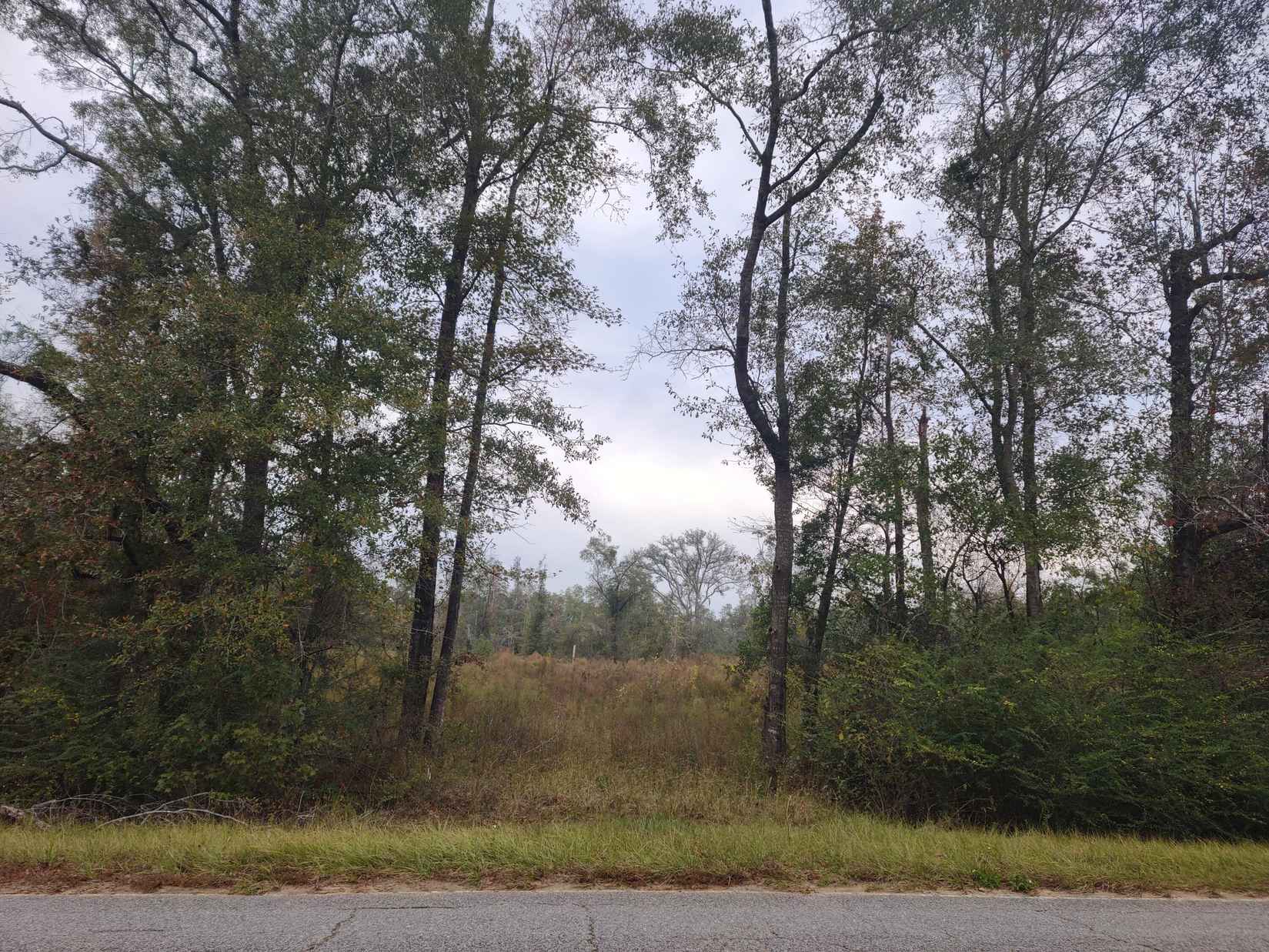 00 Pioneer Rd  