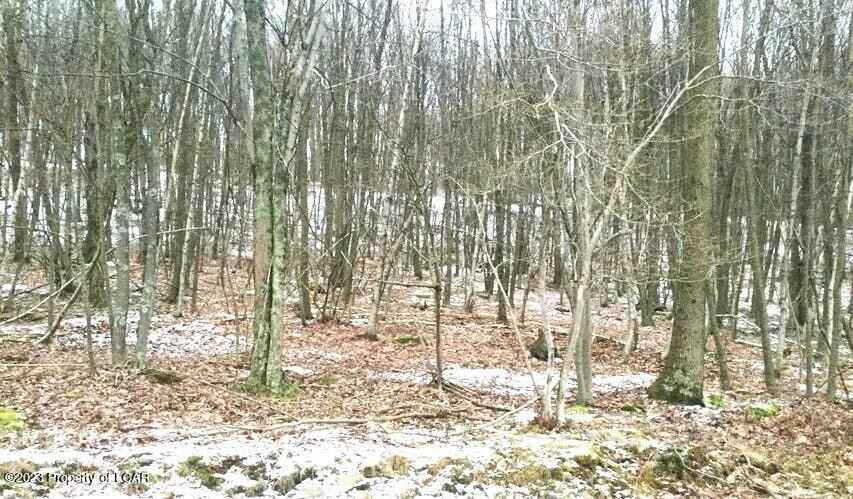LV Lot 112 Elderberry Ln  