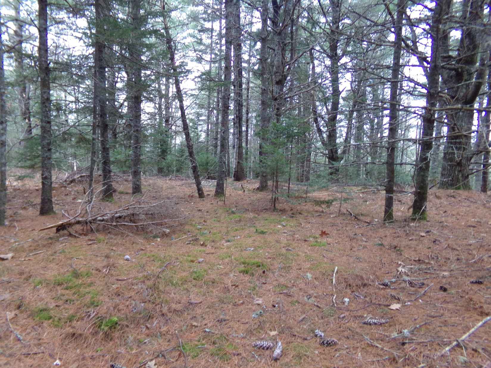 Lot 3-e Rogers Pt Rd  