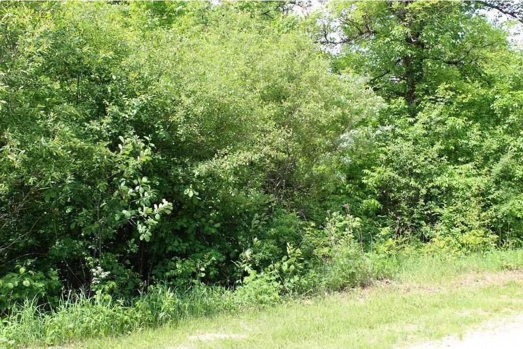 Lot 6 Kingston Way  