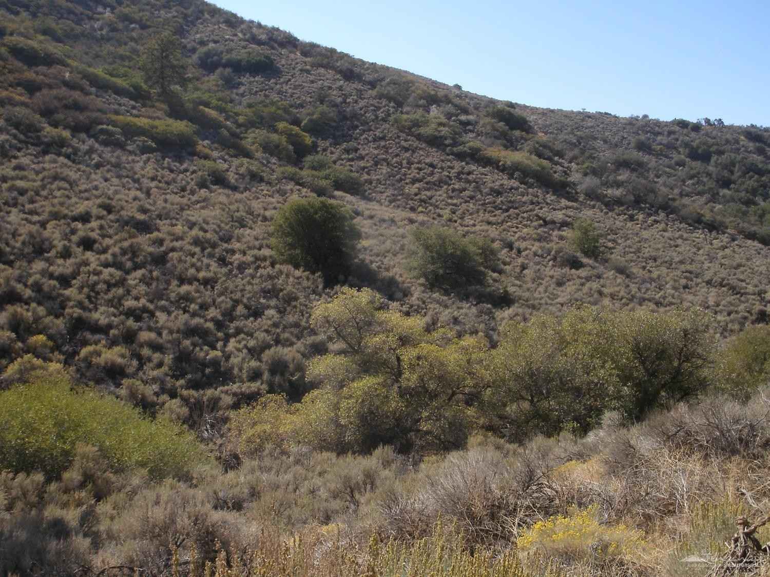 17691 Mountain Climber Way  