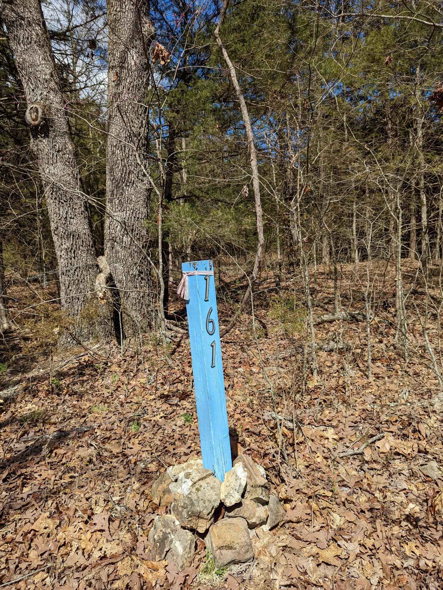 161 Green Acres Rd  