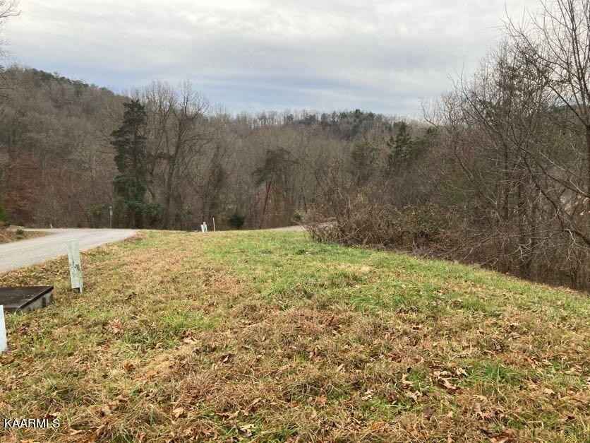 Lot 340 Eagle Ct  