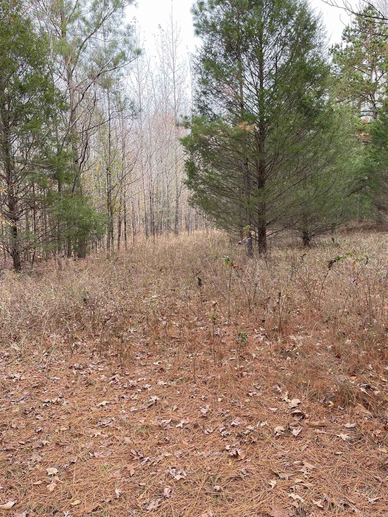 8 39 Acres Greene 756 Rd  