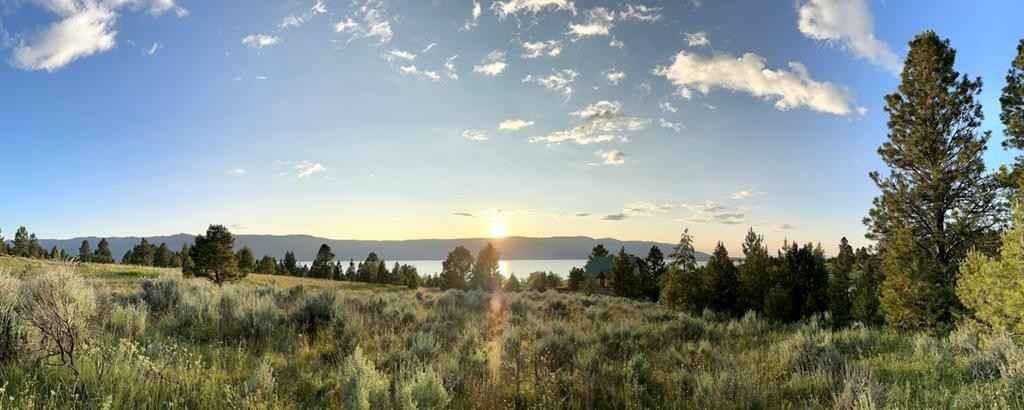 1557 Pine Lakes Rnch Dr  