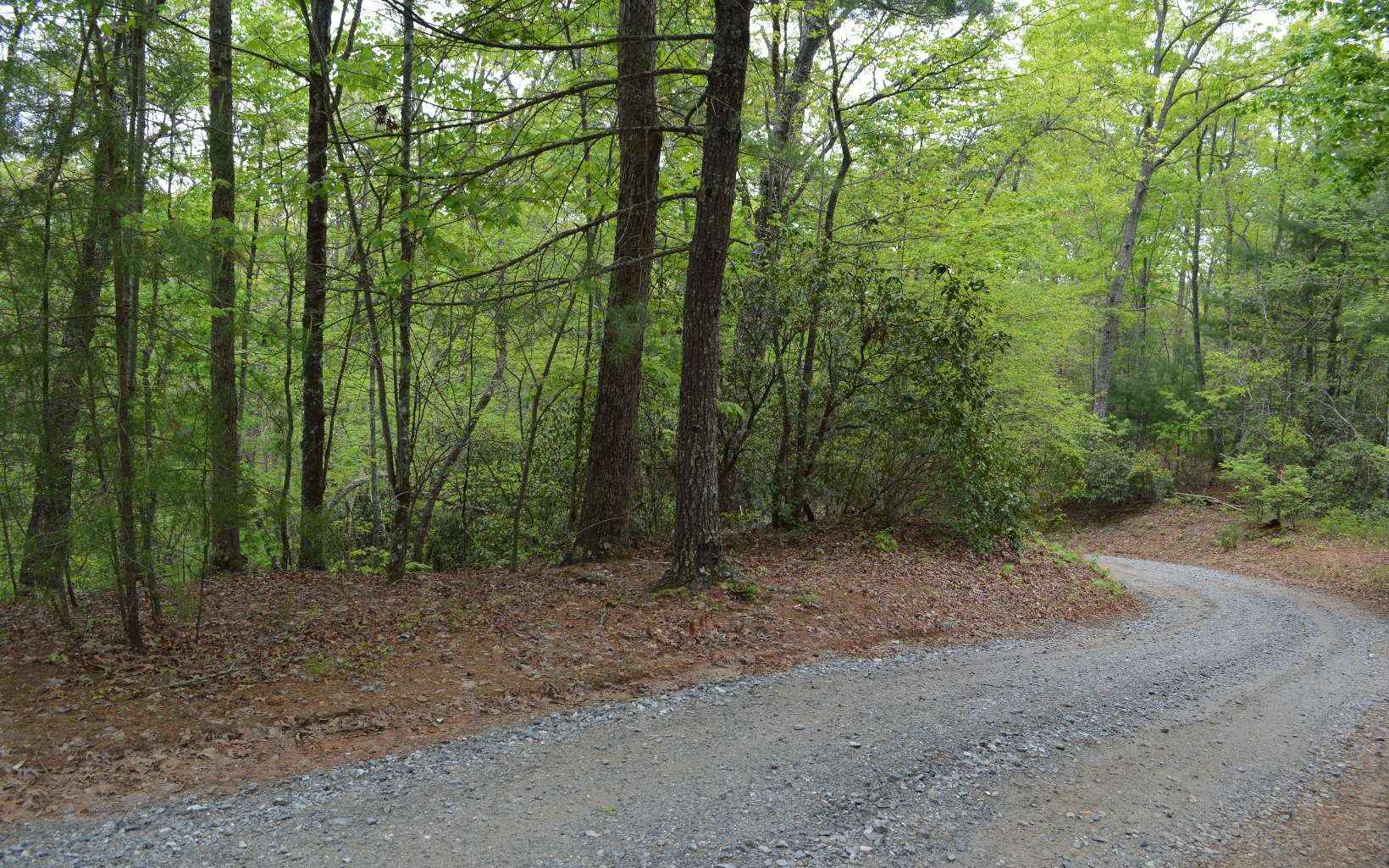 LT 10 NORTH RIDGE Trl Lot 10  