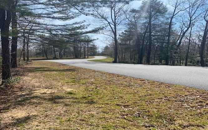 LOT 7 BRASSTOWN TRAILS Lot 7  