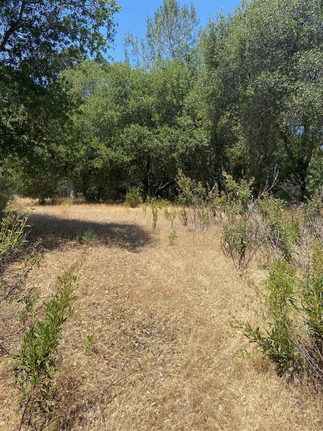 2538 Butte Mtn Rd  