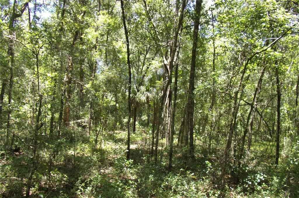 0 NW CHESTNUT Ave NW  