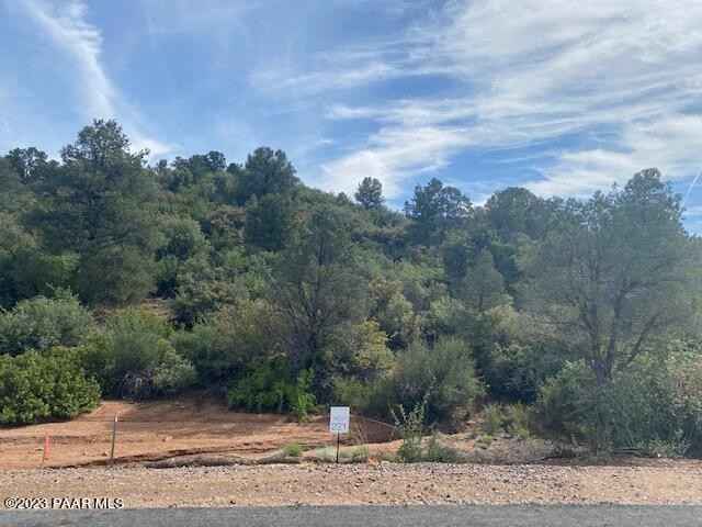 12281 N Thrine (Lot 221)  