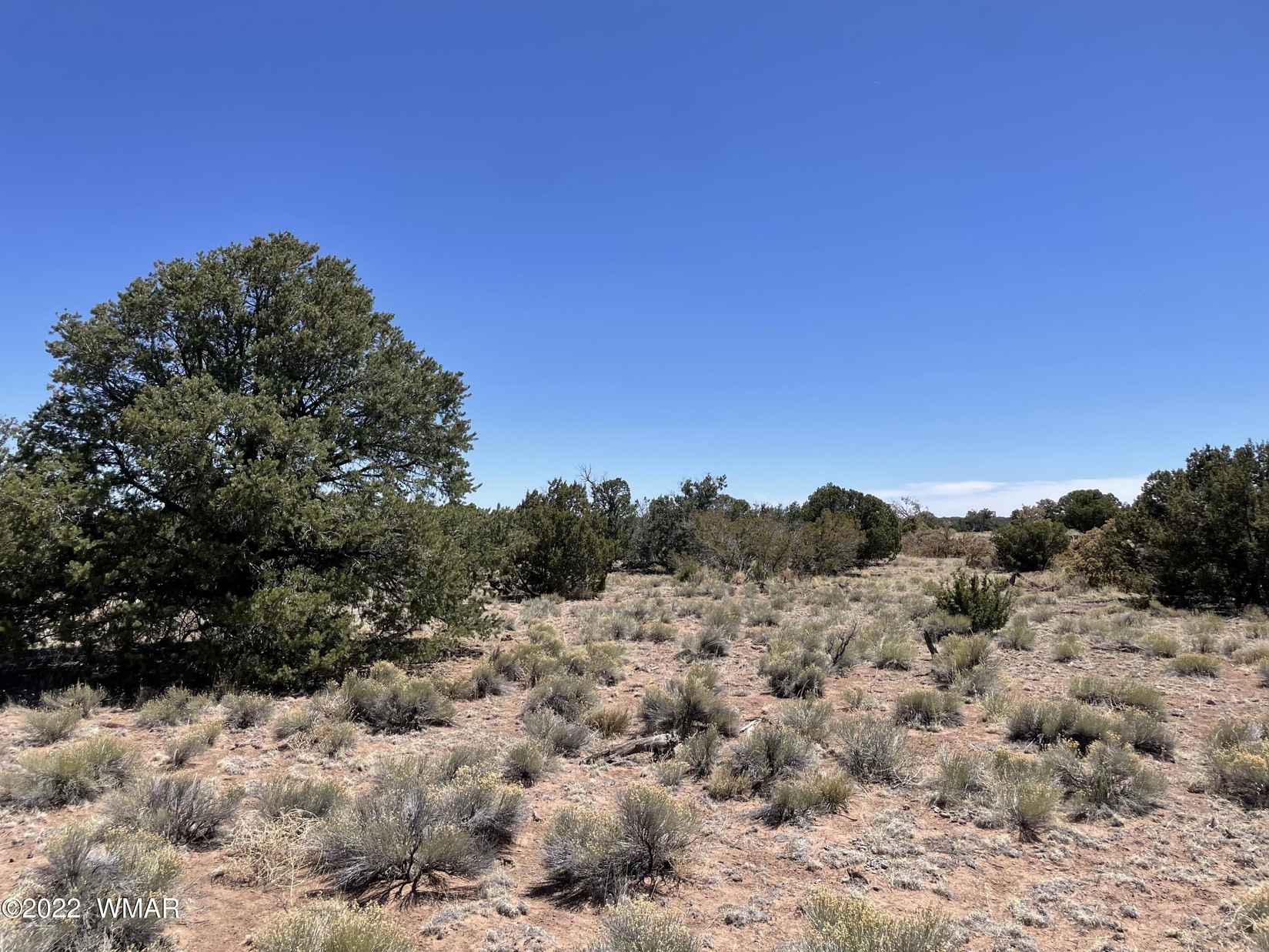 Lot 264 N6486  