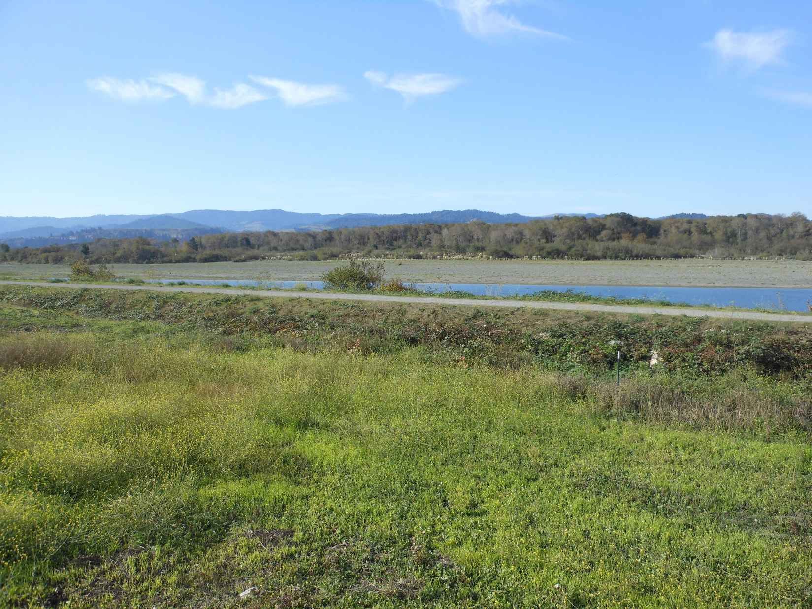 17 River Rnch Rd  